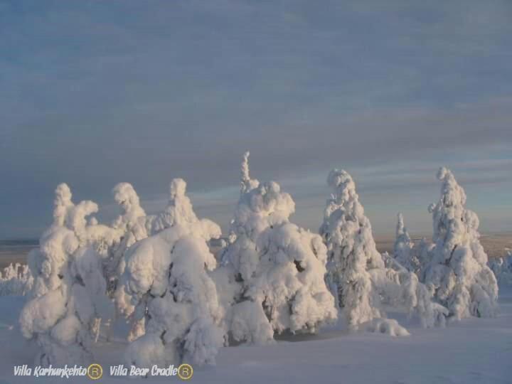 Villa Karhunkehto ลูออสโต ภายนอก รูปภาพ